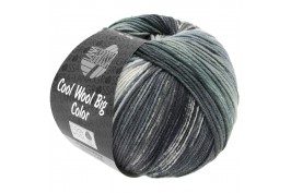 Cool Wool Big Color 4008